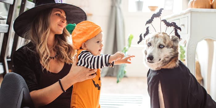 Fb blog sept 2021 halloween 1